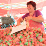 Bauernmarkt in Zagreb