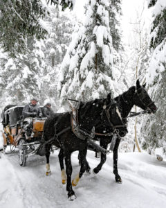 Auf dem Kulinarik Trail