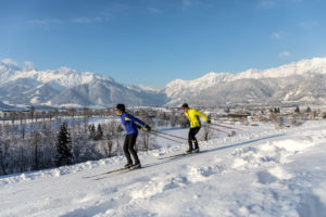Langlauf mit Bergpanorama