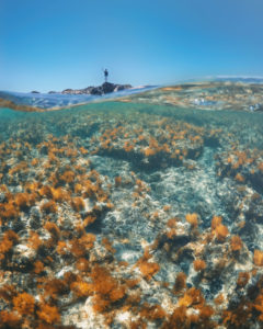 Klares Wasser auf Chrissi