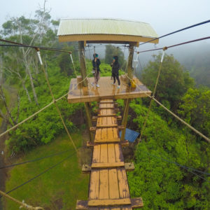 ZipLineThroughParadise