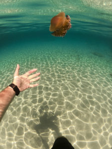 Schnorcheln auf Ibiza